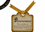 Perseverance w Banner