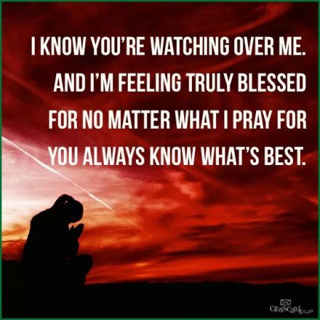 wp-1394535616462 image